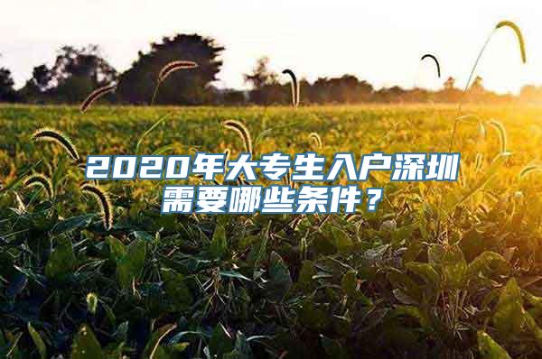 2020年大专生入户深圳需要哪些条件？