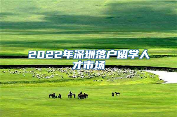 2022年深圳落户留学人才市场