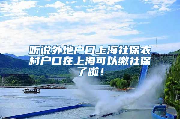 听说外地户口上海社保农村户口在上海可以缴社保了啦！