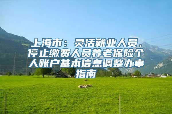 上海市：灵活就业人员、停止缴费人员养老保险个人账户基本信息调整办事指南