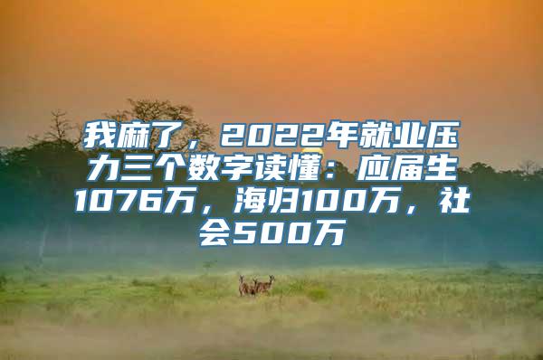 我麻了，2022年就业压力三个数字读懂：应届生1076万，海归100万，社会500万