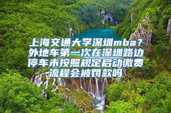 上海交通大学深圳mba？外地车第一次在深圳路边停车未按照规定启动缴费流程会被罚款吗