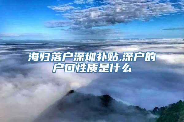 海归落户深圳补贴,深户的户口性质是什么