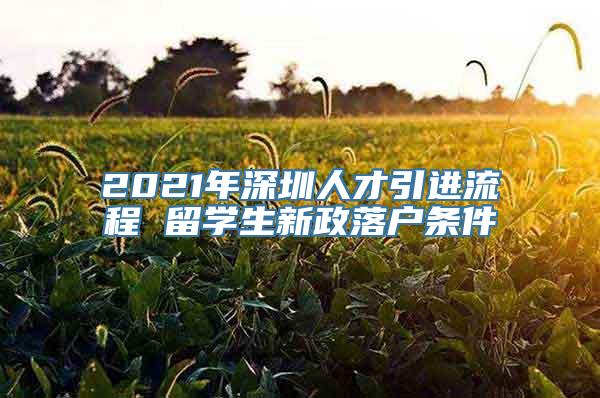 2021年深圳人才引进流程 留学生新政落户条件