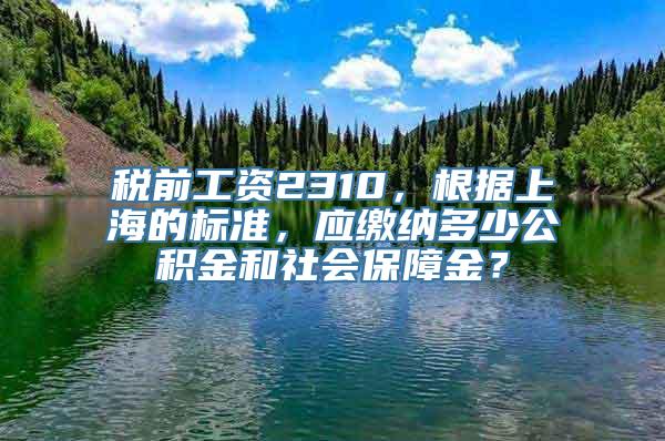 税前工资2310，根据上海的标准，应缴纳多少公积金和社会保障金？