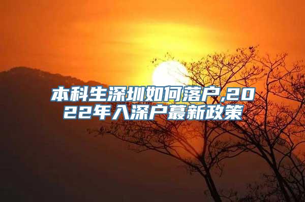 本科生深圳如何落户,2022年入深户蕞新政策