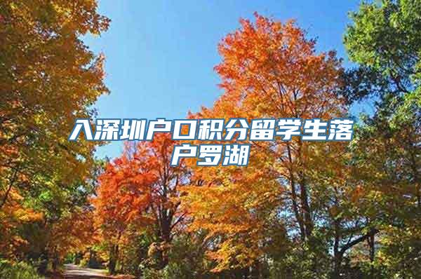 入深圳户口积分留学生落户罗湖