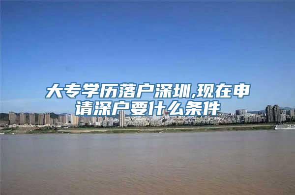 大专学历落户深圳,现在申请深户要什么条件