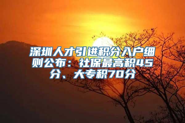 深圳人才引进积分入户细则公布：社保最高积45分、大专积70分