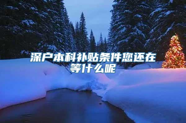 深户本科补贴条件您还在等什么呢