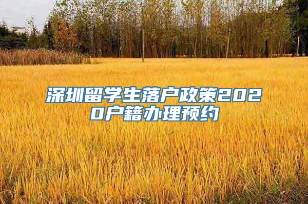 深圳留学生落户政策2020户籍办理预约