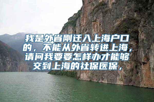 我是外省刚迁入上海户口的，不能从外省转进上海，请问我要要怎样办才能够交到上海的社保医保，