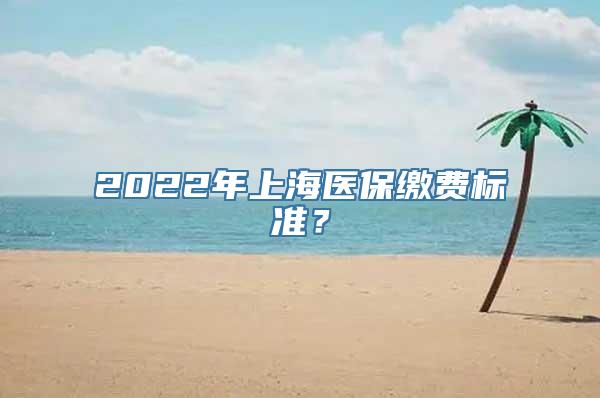 2022年上海医保缴费标准？