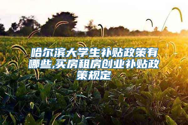 哈尔滨大学生补贴政策有哪些,买房租房创业补贴政策规定