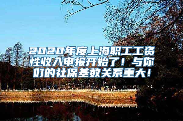 2020年度上海职工工资性收入申报开始了！与你们的社保基数关系重大！