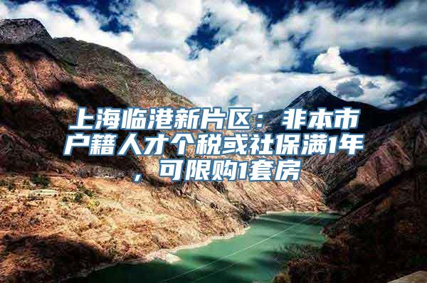 上海临港新片区：非本市户籍人才个税或社保满1年，可限购1套房