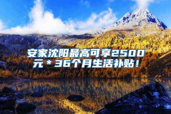 安家沈阳最高可享2500元＊36个月生活补贴！