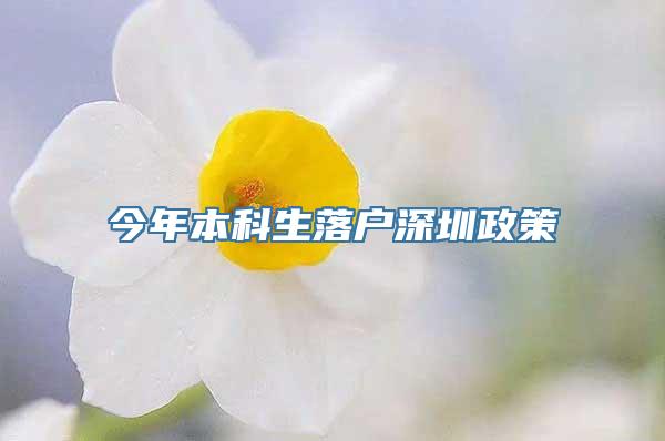 今年本科生落户深圳政策