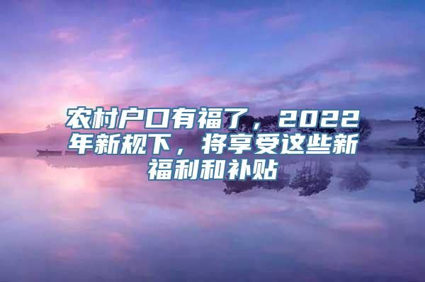 农村户口有福了，2022年新规下，将享受这些新福利和补贴