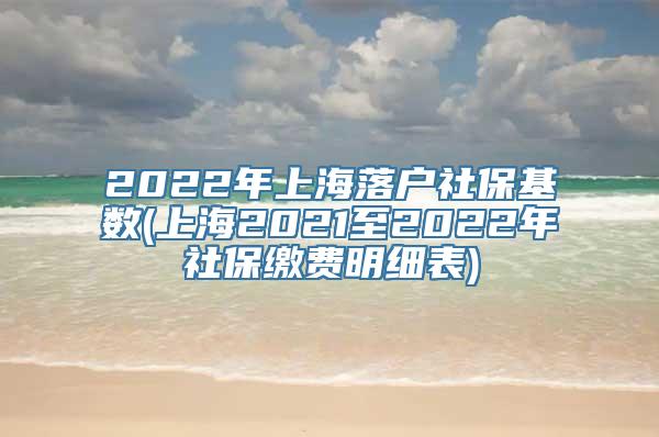 2022年上海落户社保基数(上海2021至2022年社保缴费明细表)