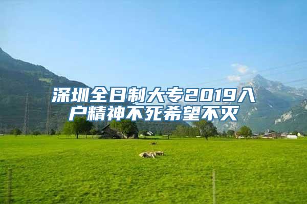 深圳全日制大专2019入户精神不死希望不灭