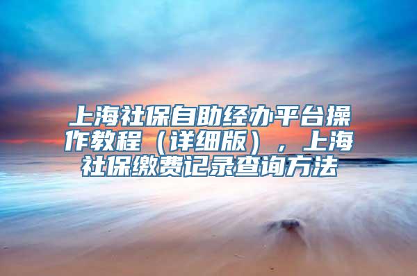 上海社保自助经办平台操作教程（详细版），上海社保缴费记录查询方法