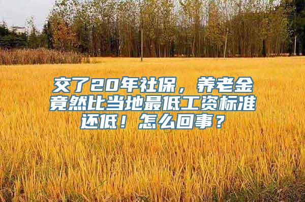 交了20年社保，养老金竟然比当地最低工资标准还低！怎么回事？