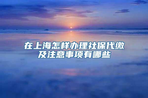 在上海怎样办理社保代缴及注意事项有哪些