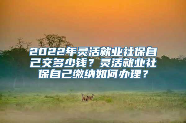 2022年灵活就业社保自己交多少钱？灵活就业社保自己缴纳如何办理？