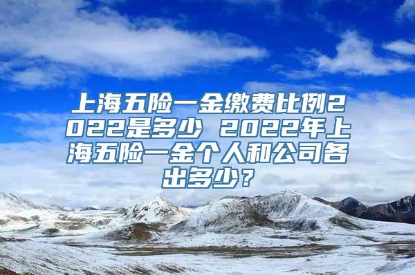 上海五险一金缴费比例2022是多少 2022年上海五险一金个人和公司各出多少？