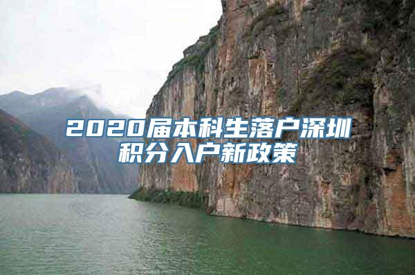 2020届本科生落户深圳积分入户新政策