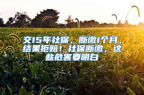 交15年社保，断缴1个月，结果拒赔！社保断缴，这些危害要明白