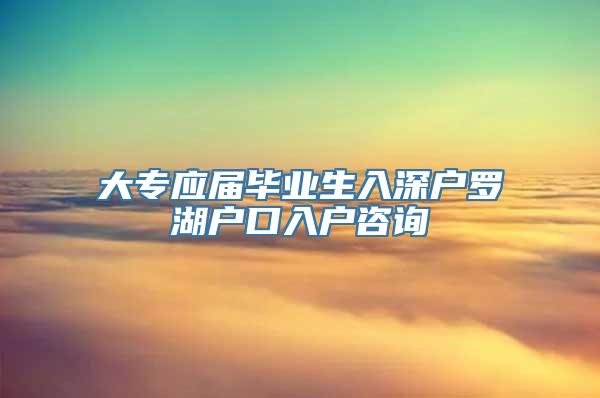 大专应届毕业生入深户罗湖户口入户咨询