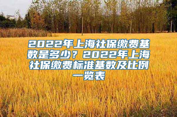 2022年上海社保缴费基数是多少？2022年上海社保缴费标准基数及比例一览表