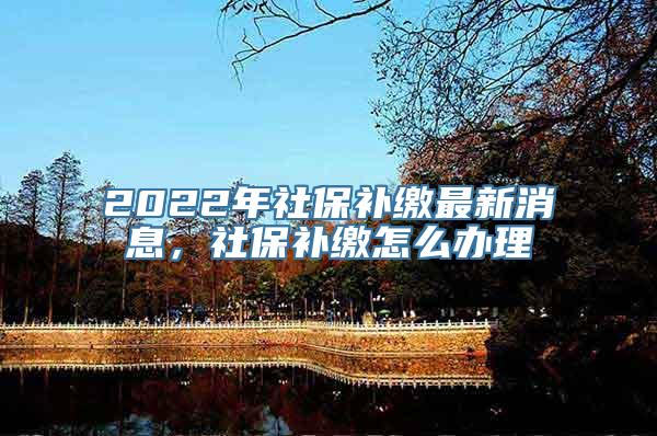 2022年社保补缴最新消息，社保补缴怎么办理