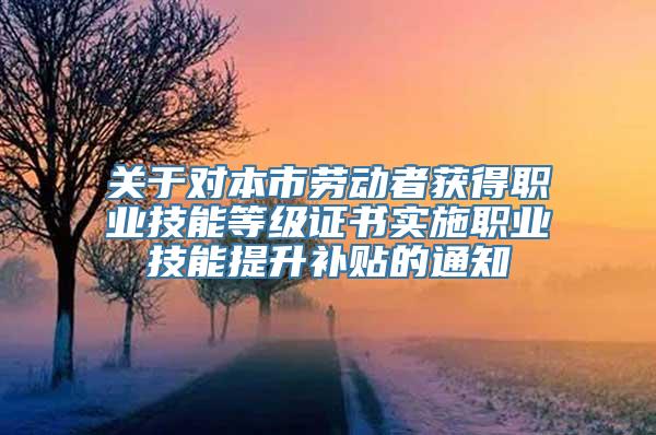 关于对本市劳动者获得职业技能等级证书实施职业技能提升补贴的通知