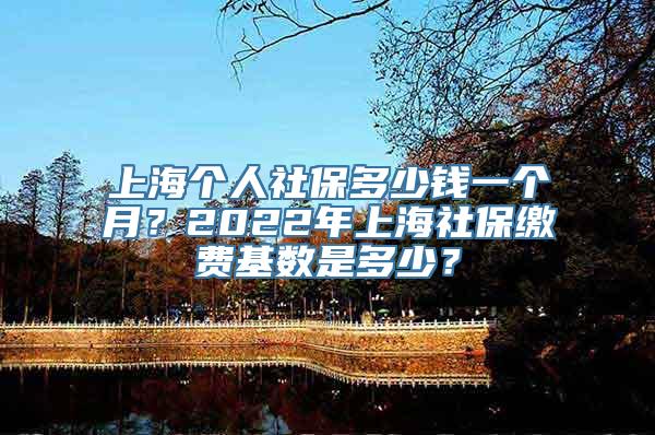 上海个人社保多少钱一个月？2022年上海社保缴费基数是多少？