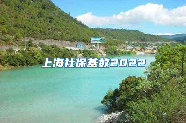 上海社保基数2022