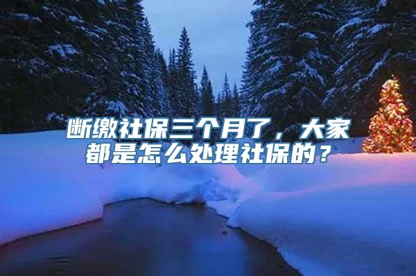 断缴社保三个月了，大家都是怎么处理社保的？