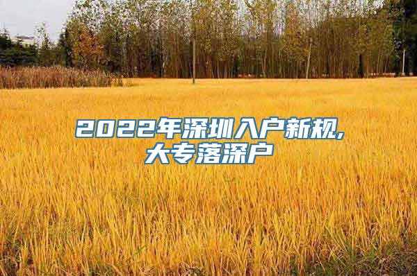 2022年深圳入户新规,大专落深户