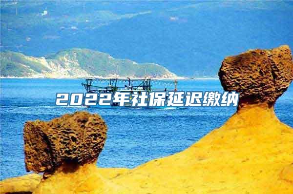 2022年社保延迟缴纳