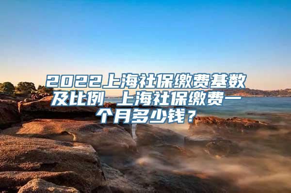 2022上海社保缴费基数及比例 上海社保缴费一个月多少钱？