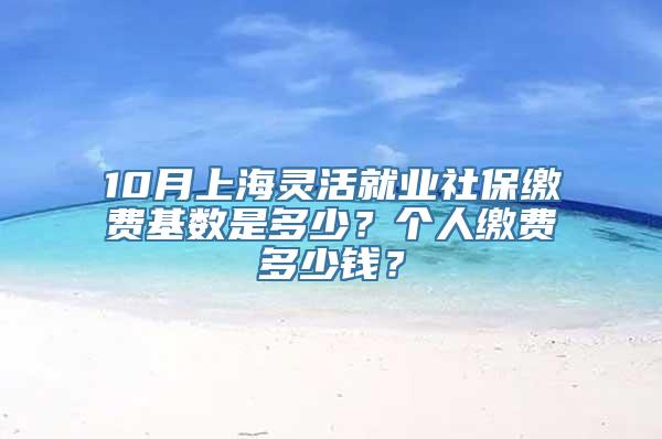 10月上海灵活就业社保缴费基数是多少？个人缴费多少钱？