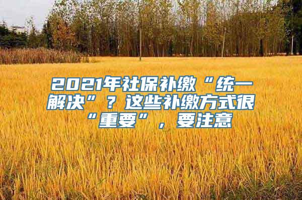 2021年社保补缴“统一解决”？这些补缴方式很“重要”，要注意