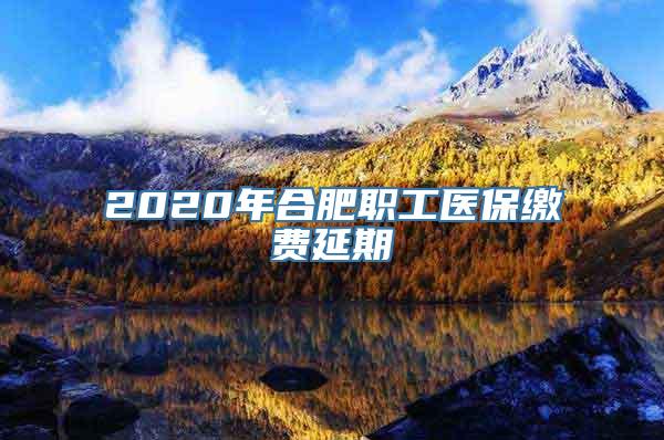 2020年合肥职工医保缴费延期