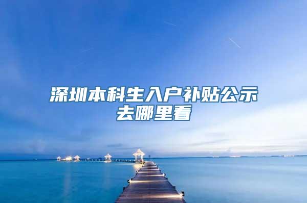 深圳本科生入户补贴公示去哪里看