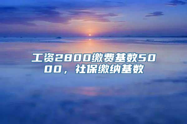 工资2800缴费基数5000，社保缴纳基数