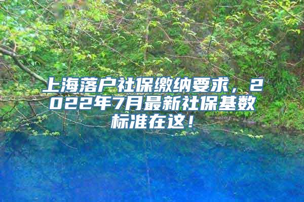 上海落户社保缴纳要求，2022年7月最新社保基数标准在这！