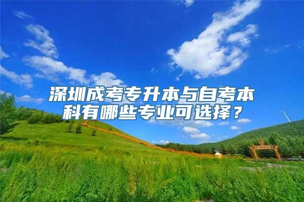 深圳成考专升本与自考本科有哪些专业可选择？