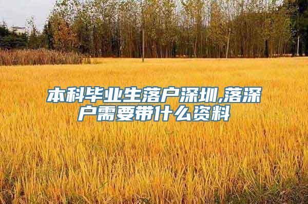 本科毕业生落户深圳,落深户需要带什么资料